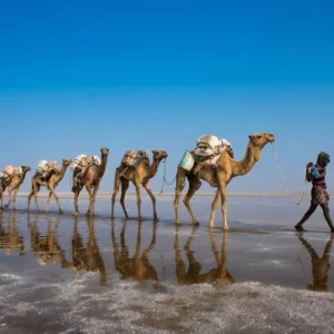 2 Days Danakil Depression Tours