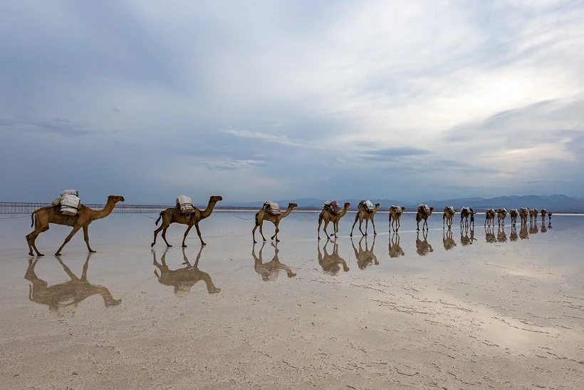 Danakil Depression Photography tour